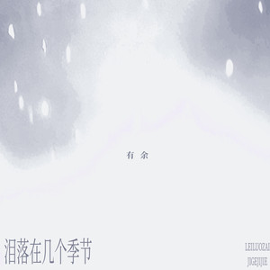 泪落在几个季节