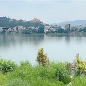 那年盛夏星空下（和声伴奏）