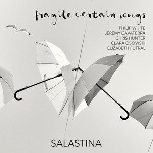 fragile certain songs - v. O Distinct