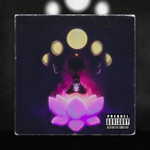 Privacy (Explicit)