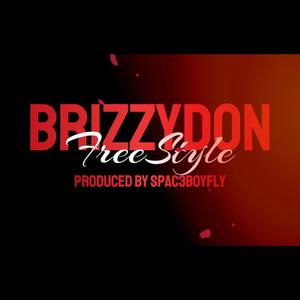 Freestyle (feat. Brizzydon) [Explicit]