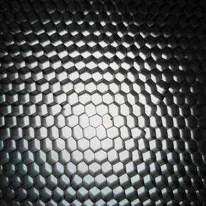 Thebeekeeper(feat. TSOL)