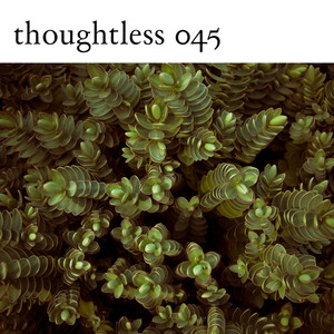 Quantum Perspective (Zaid Edghaim Remix)