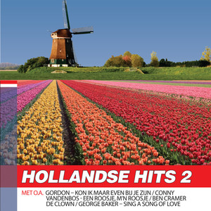 Hollands Hits 2 Hollands Glorie