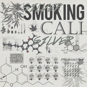 Smoking Cali (Explicit)
