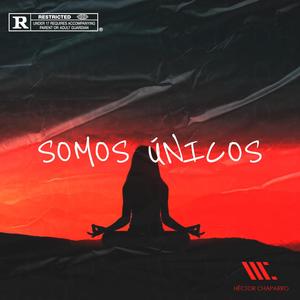 somos únicos