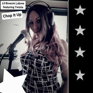 Chop It Up (feat. Twista) (Explicit)