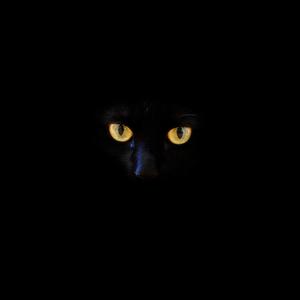 Intrigue (revised)