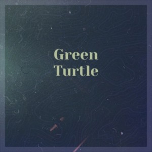 Green Turtle