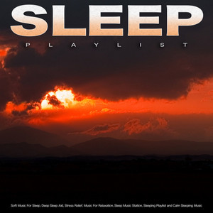 Sleep Playlist: Soft Music For Sleep, Deep Sleep Aid, Stress Relief, Music For Relaxation, Sleep Music Station, Sleeping Playlist and Calm Sleeping Music