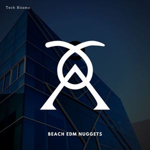 Beach EDM Nuggets (Original Mix)