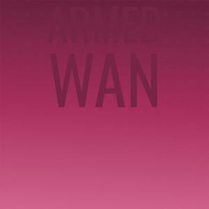 Armed Wan