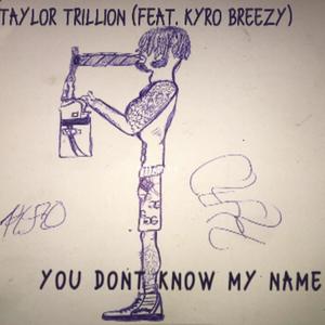 YDKMN (feat. Taylor Trillion) [Remix] [Explicit]