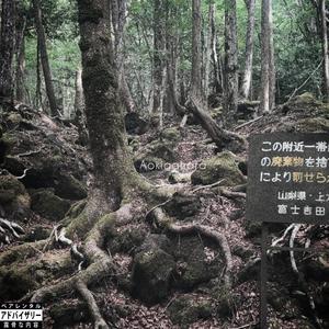 Aokigahara (feat. Chavo Be Perfect & Yung Buda) [Explicit]