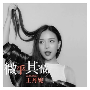 微乎其微 (DJ团团)