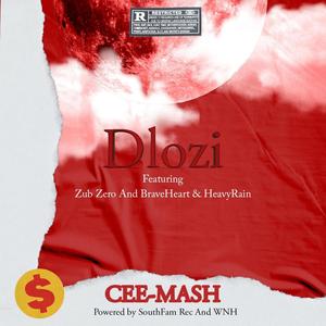 Dlozi (feat. Zub Zero, Braveheart & Heavyrain)