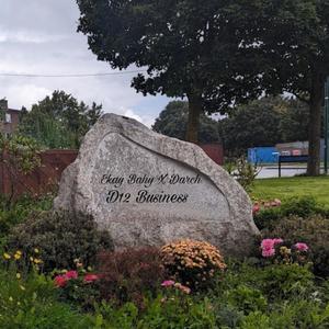 D12 Business (feat. Darch) (Explicit)