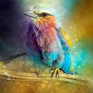 Eclosion