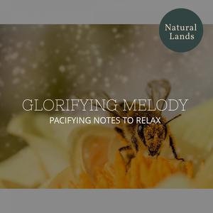 Glorifying Melody - Pacifying Notes to Relax