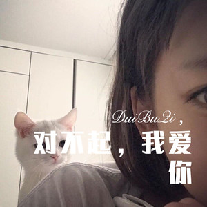 音乐神 - 对不起，我爱你 (Remix)