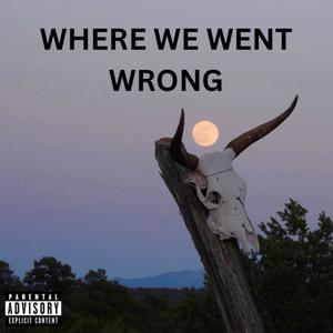 WHERE WE WENT WRONG (Explicit)