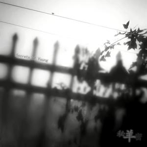 岛【2009】