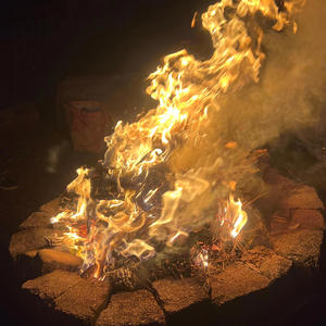 Spread The Ashes (feat. Liza Rogers)