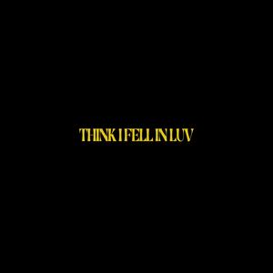 Think I Fell In Luv (Explicit)