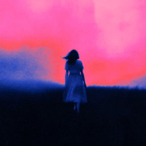 Void In Blue Hoodtrap Flip 2