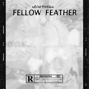 Fellow Feather (Explicit)