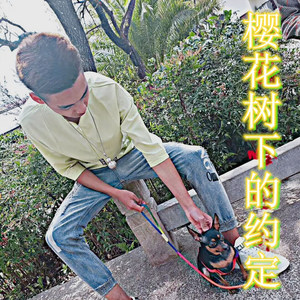 樱花树下的约定