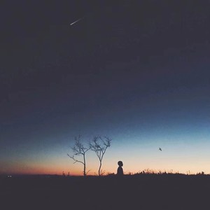 格陵兰裂纹 (Demo)