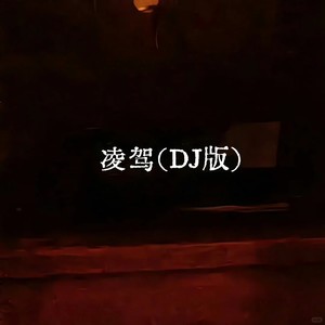 凌驾 (DJ版)