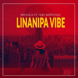 Linanipa vibe (feat. Nuh mziwanda)