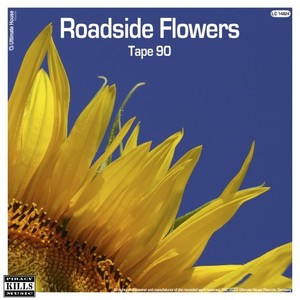 Roadside Flowers (Extended Mix)