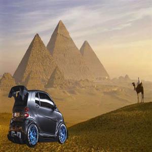 Pharaoh's Curse
