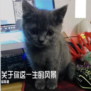 这一生关于你的风景v2