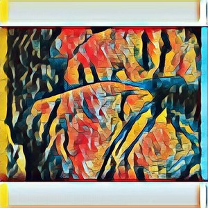 19岁的救命稻草