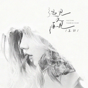 姜祁 - 遇见又再见 (DJ阿智版伴奏)