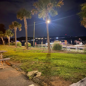 Just need you (Explicit)