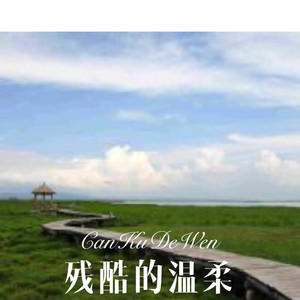不让我的眼泪陪我过夜 (DJ版)