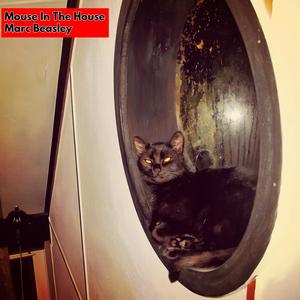 Mouse In The House