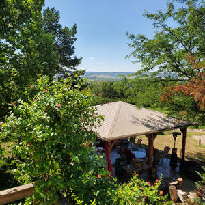 Summer Guide (Explicit)