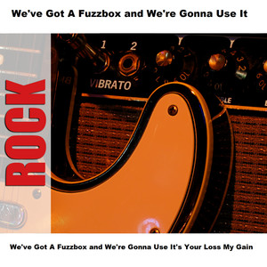 We've Got A Fuzzbox and We're Gonna Use It's Your Loss My Gain