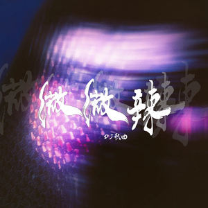 微微辣 (小紫DJ版)