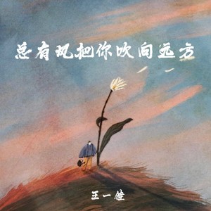 总有风把你吹向远方 (人生不过三万天)封面