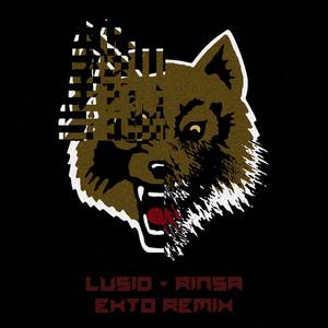 Rinsa (Ekto Remix)