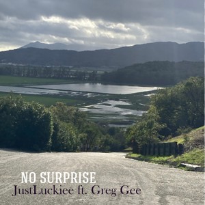 No Surprise (feat. Greg Gee) (Explicit)