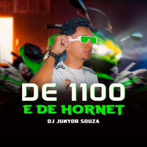 DE 1100 E DE HORNET (Explicit)