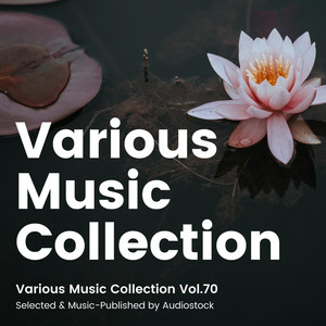 Various Music Collection Vol.70 -Selected & Music-Published by Audiostock-